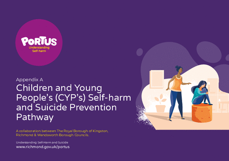 CYP's Self-harm &amp; Suicide Prevention Pathway